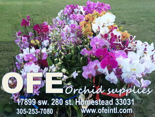 OFE Homestead ad 2018.png